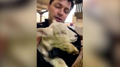 Officer holding lamb