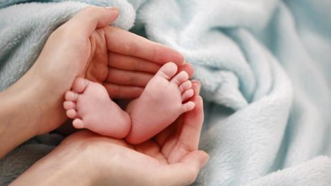 An adult's hand cupping a newborn baby's feet