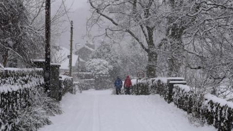 Two people walking through a wintry, snowy scene along a country road
