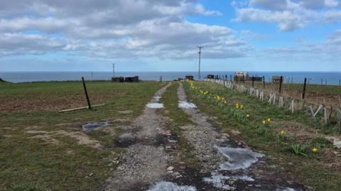 A section of coast overlooking the sea and the cloudy, blue sky beyond. The land is grassy with patches of gravel and mud. There are fences and posts planted in a line leading down to the edge. There is also a line a yellow daffodils on the right, and a tall telephone pole in the distance.