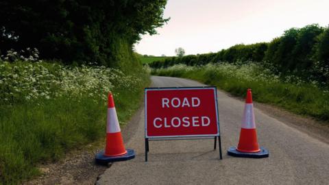 A red sign in a country road reads "road closed". either side of it are two red traffic cones. The road is surrounded by green trees and grass on the left, and green grass and a hedge on the right, which reveals a green field behind it.