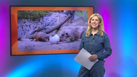 Jenny on the Newsround set
