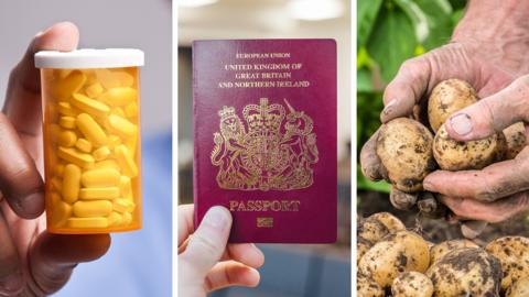 Composite of medicine, passports and potatoes