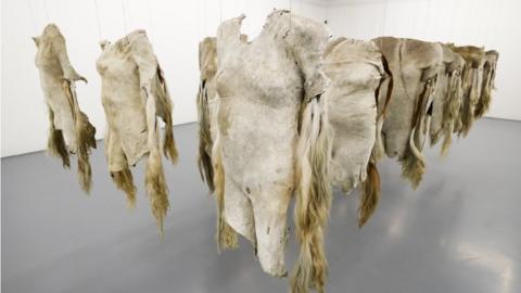 An installation by South African artist Nandipha Mntambo using cow hides on exhibit at the Zeitz Museum of Contemporary Art Africa.