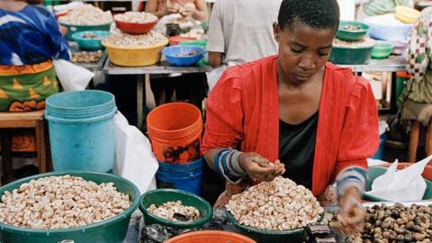 Cashew nut factory workers at a production line in Mtwara, Tanzania