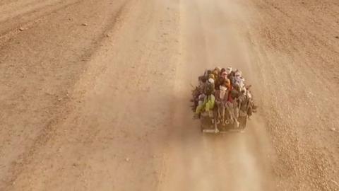 African migrants travelling through the Sahara desert