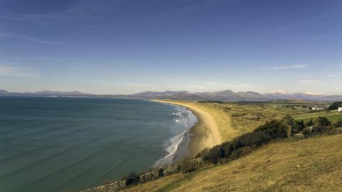 Cardigan Bay