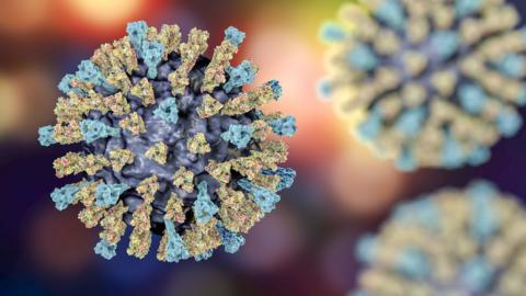 Measles virus artwork