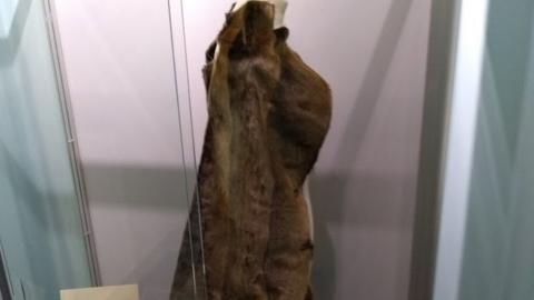 Fur coat hanging on a mannequin in a display cabinet