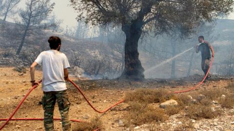 People tackle wildfires, hosing down a tree