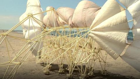 Strandbeest