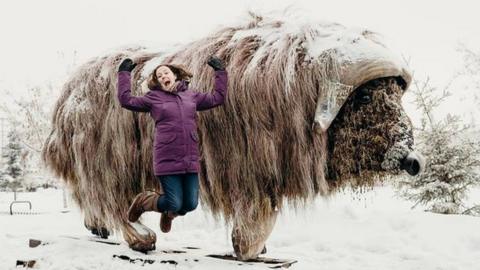 Yellowknife resident voted to name this muskox sculpture "Elon Muskox"