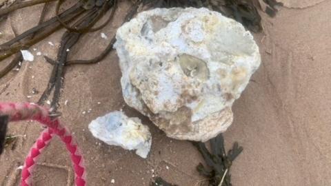 Palm oil found on Embleton beach