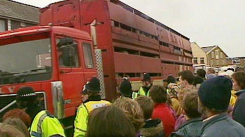 Protestors gathered alongside a lorry carrying live animals for export.