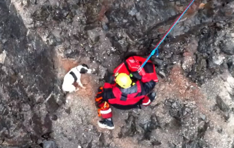 The moment the dog was rescued from the quarry