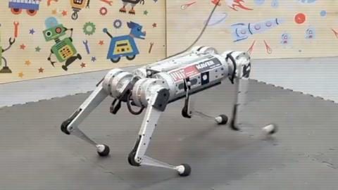 Robot cheetah