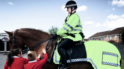 Police horse