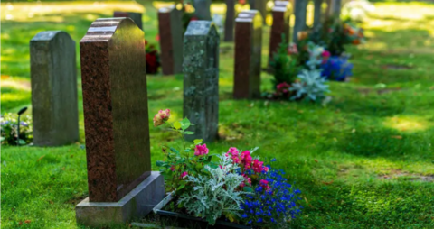 Two rows of brown and grey marble gravestones with pink and purple flowers planted in front of each one. They are surrounded by short green grass.