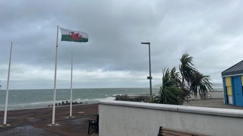 Photograph of Penmaenmawr Beach in Conwy. Palm trees can be seen blowing in the wind as well as a welsh flag blowing. 