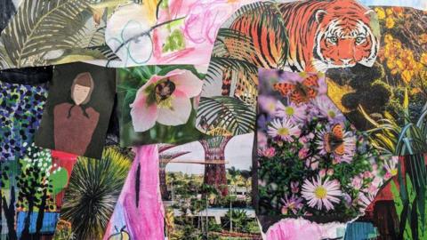 A collage includes a number of colourful images placed together. They include a tiger, a bee, butterflies and many flowers