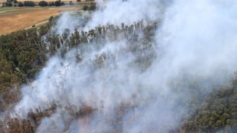 An aerial view of a large area of woodland which is on fire. Large clouds of grey smoke are coming from the land.