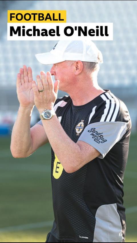 Northern Ireland manager Michael O'Neill 