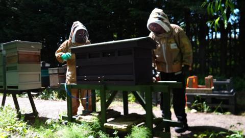Two people in beekeeper outfits looking at a hive.