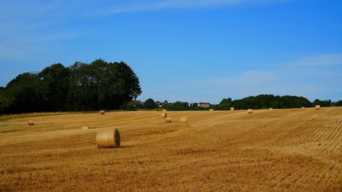 Harvested field with round hay bales under a blue sky, bordered by trees with a village in the distance in Battle, East Sussex