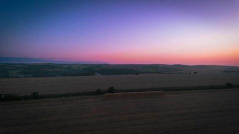 A field. with purple skies over.