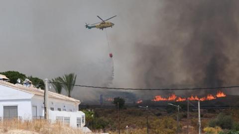 Wildfire
