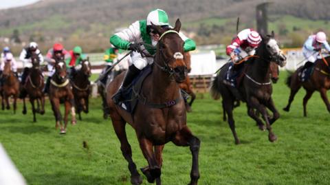 Racing at Cheltenham