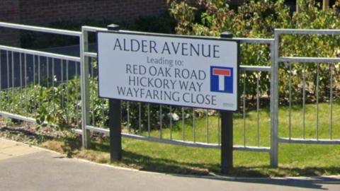 Google street view still of a sign saying Alder Avenue.