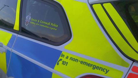 A picture of the side of a Devon and Cornwall police car with the force logo on the side of the window. 