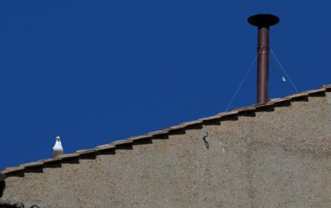 'Habemus papam': fumaça branca sinaliza escolha de novo papa no conclave