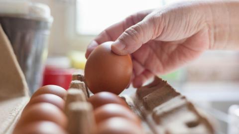 A carton of eggs are in focus, with a hand picking up on egg.