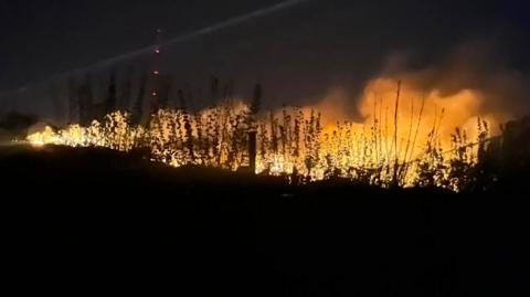 Flames and smoke come up from the ground during the early hours of the morning. The silhouettes of gorse plants can be seen against the flames.