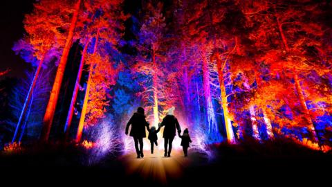 Family of two adults and two children walk through an illuminated pine forest at night