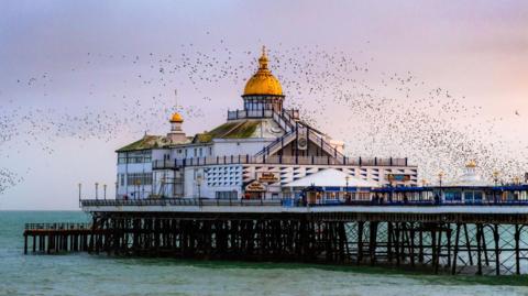 A 19th-century seaside pier in England. A murmuration of starlings is flying over it at sunset.
