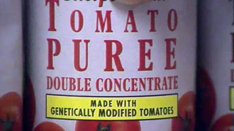 A can of tomato puree, labelled that it was made with genetically modified tomatoes.