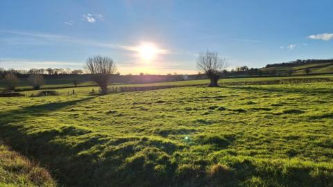 The sun is rising in a blue sky with a couple of trees and green fields in front