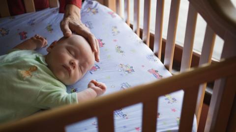 A young baby asleep on their back in a clear crib with an adult hand gentle resting on their head. The baby's arms are up by their face, and there is nothing else in the wooden crib.
