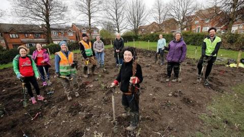 The tiny forests being planted