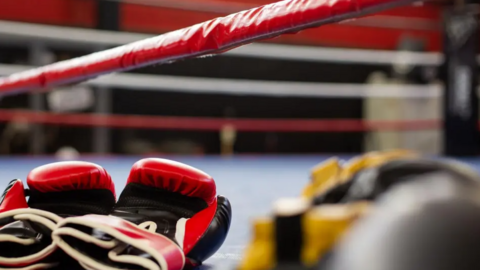 Red and black boxing gloves lie on the floor of a boxing ring. They can be seen in the foreground.