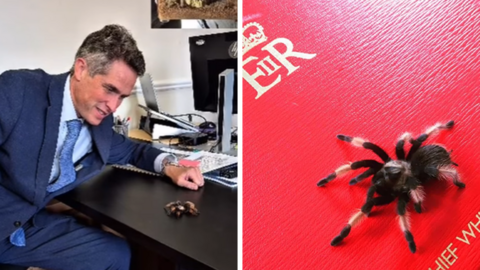 Sir Gavin Williamson with his pet tarantula on his constituency office desk (left) and (right) on his red Chief Whip briefcase.