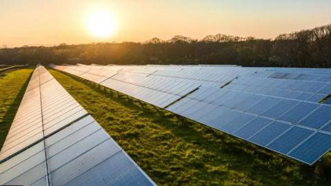 Field with rows of solar panels and the sun rising over a hedge on the end of the field.