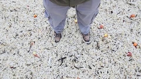 A man standing in thousands of chips.