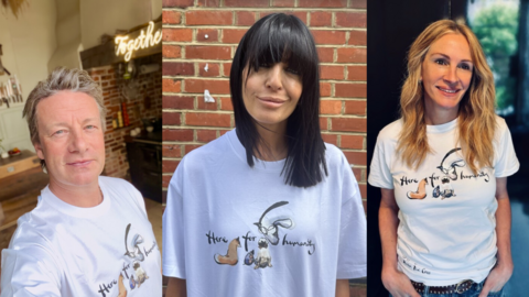 Three photos side by side of Jamie Oliver, Claudia Winkleman and Julia Roberts. They are all smiling at the camera and wearing white t-shirts that read 'Here for Humanity".