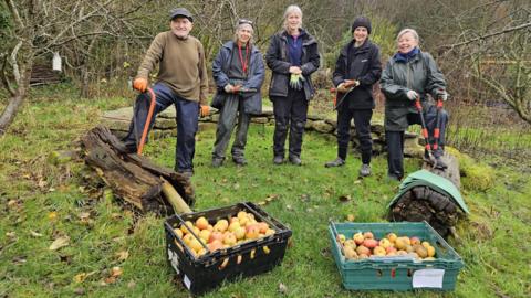Five people in outdoor clothing, and some of them holding gardening tools, stand next to a rock/branch formation in the middle of a green space. There are branches and overgrowth in the background. In front of them two crates full of apples.