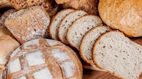 A variety of different breads, arranged on a table