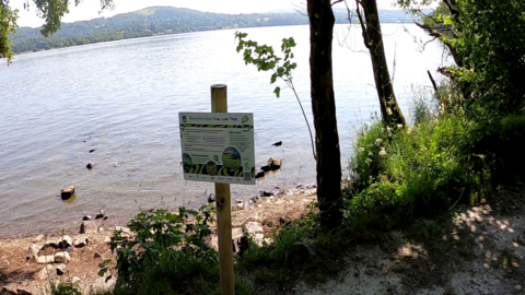 An algae warning sign attached to a wooden pole on the shore of Windermere. A large expanse of water can been seen behind the notice along with hills in the distance.